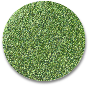Ø 25 mm 80 2511 Series Discs - Siafix